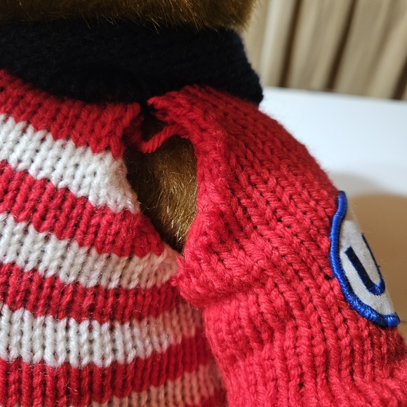 Patriotic Teddy Bear with Flag Sweater - Picture 6 of 12